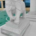 大连 白麻花岗岩动物异形石雕-大象
