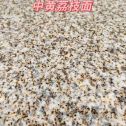 大连黄金麻中黄荔枝面