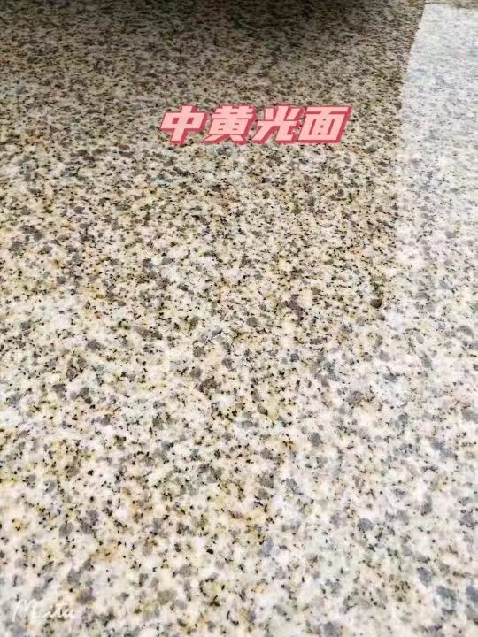 大连黄金麻中黄光面